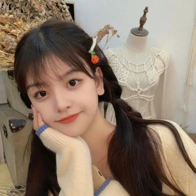 小小车手